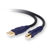 Belkin USB 2.0 Cable