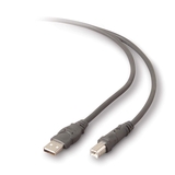 Belkin USB 2.0 Cable