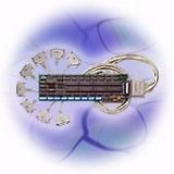 Digi Fan-out Cable