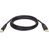 Tripp Lite USB 2.0 Gold Cable