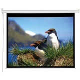 Draper Electrol Projection Screen