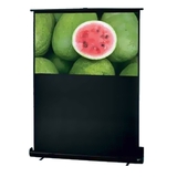Toshiba Portable Projection Screen