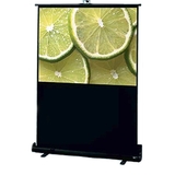 Toshiba Portable Projection Screen