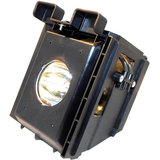 eReplacements Samsung Rear Projection Television Lamp