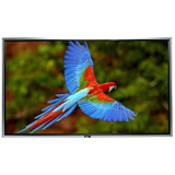 Elite Screens SilverFrame Series Fixed Frame Projection Screen