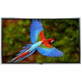 Elite Screens SilverFrame Series Fixed Frame Projection Screen