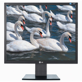 LG L1953H-BF LCD Monitor