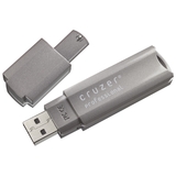 SanDisk 4GB Cruzer Professional USB Flash Drive