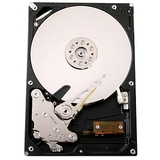 Hitachi Ultrastar A7K1000 HUA721010KLA330 Hard Drive
