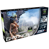 PNY GeForce 6200 Graphics Card