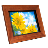 Aluratek ADMPF311F Hi-Res Digital Photo Frame