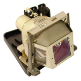 InFocus Replacement Lamp