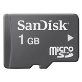 SanDisk 1GB microSD Card