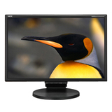 NEC Display MultiSync LCD205WNXM Widescreen LCD Monitor