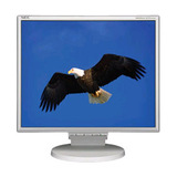NEC Display MultiSync Business Series LCD195NXM LCD Monitor