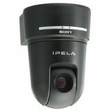 Sony SNC-RX530 360 PTZ Dome Type Multi-Codec IP Camera - Black