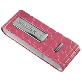 SanDisk 2GB Cruzer Gator USB 2.0 Flash Drive