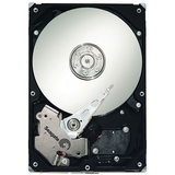 Seagate Barracuda ES.2 ST31000640SS Hard Drive