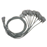 Perle DTE Fan-out Cable