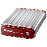 Buslink Serial ATA External Hard Drive