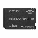 SONY MSX-M1GS