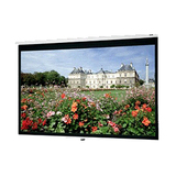 Da-Lite Deluxe Model B Manual Wall and Ceiling Projection Screen