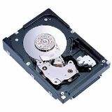 Fujitsu Enterprise MAX3073NC Hard Drive