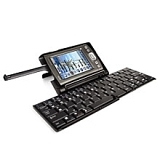 PALM 3169WW PALM 3169WW