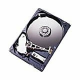 IBM SAS 300 Internal Hard Drive