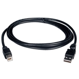 Tripp Lite USB A/B Cable