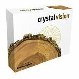 Business Objects Crystal Vision - Upgrade