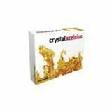 Business Objects Crystal Xcelsius v.4.5 Professional
