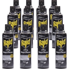 INSECTICIDE,WASP&HORNT,RAID