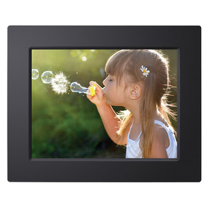 Viewsonic VFD823-50 Digital Frame