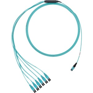 Panduit Fiber Optic Network Cable FXTRP8NQSONF006