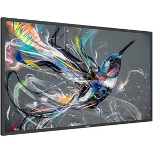 Philips Signage Solutions 43" Q-Line Display 43BDL3511Q00
