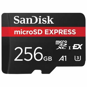 SanDisk 256 GB UHS-I U3 microSD Express SDSQXFN256GGN4NN