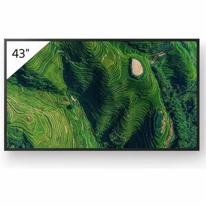 Sony Pro BRAVIA FW-43BZ35P Digital Signage Display