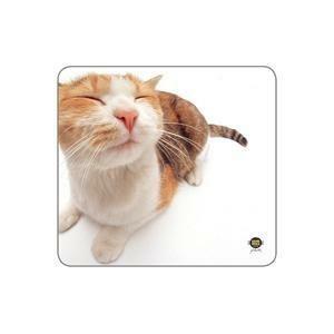 Allsop Pet Me Cat Mouse Pad - 29370 price decreased by 81%