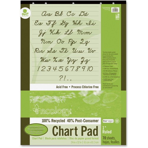 Pacon Ecololgy Unruled Recycled Chart Pad | by Plexsupply