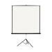HON Portable Projection Screen