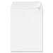 Sparco Removable Strip Catalog Envelopes