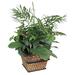 Nu-Dell Large Green Potted Plant