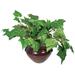 Nu-Dell Medium Green Potted Plant