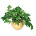 Nu-Dell Medium Green Potted Plant