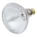 SLI Lighting Supreme Halogen Flood Light