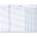 Wilson Jones Balance Ledger Columnar Sheets