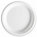 Solo Dinner Plate