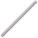 Staedtler Surveyor Triangular Scale