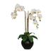 BAU98048 - Elegant Orchid, 10"x10"x25
